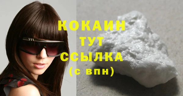 индика Вязники