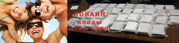 индика Вязники