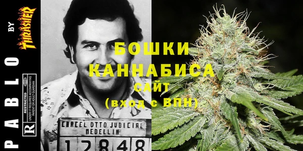 ПСИЛОЦИБИНОВЫЕ ГРИБЫ Вяземский