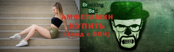 индика Вязники