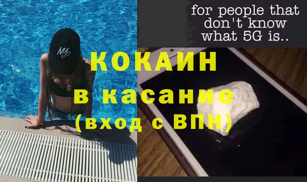 ПСИЛОЦИБИНОВЫЕ ГРИБЫ Вяземский
