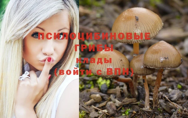 ПСИЛОЦИБИНОВЫЕ ГРИБЫ Вяземский