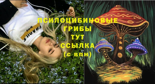 не бодяженный Верея