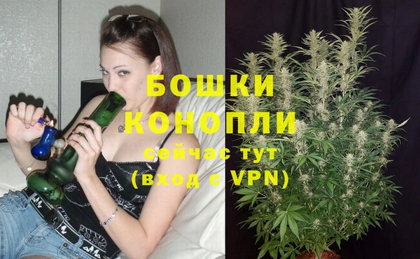 трава Вязьма