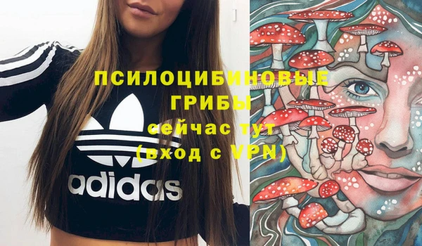 не бодяженный Тайга