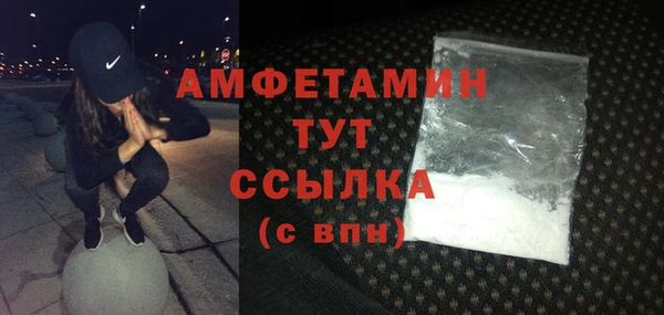 индика Вязники