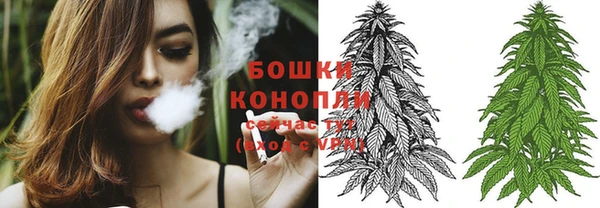 трава Вязьма