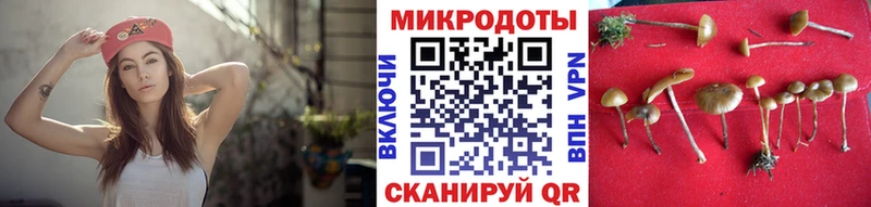 кракен вход  купить  цена  Дегтярск  Псилоцибиновые грибы мухоморы 
